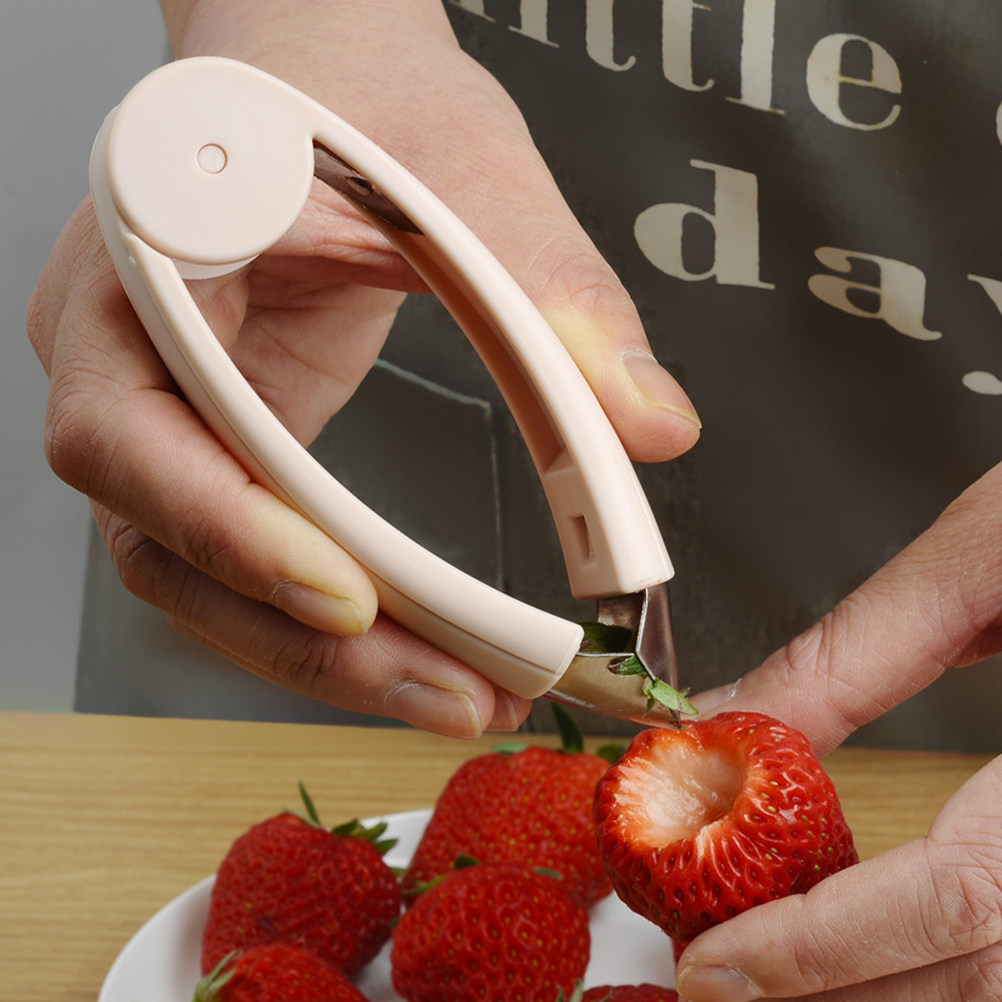 Sturdy Pineapple Core Remover  - Kitchen Gadgets Tools ulasan dan harga